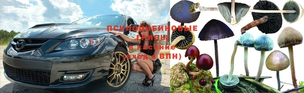 шишки Алексеевка