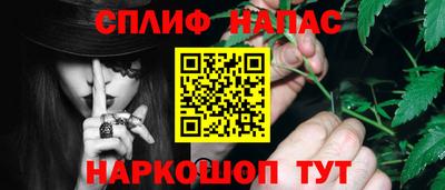 гидра Кандалакша