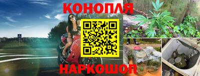 гидра Кандалакша