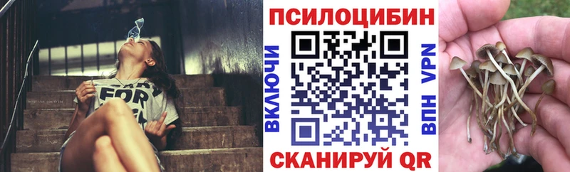 магазин продажи   Уварово  Галлюциногенные грибы Psilocybe 