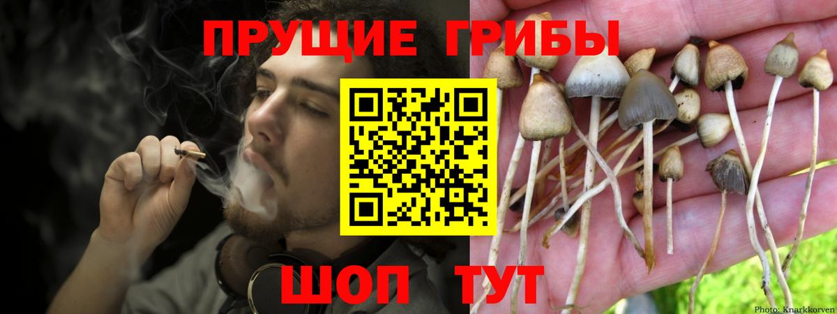 сколько стоит  Вход с VPN  Псилоцибиновые грибы Psilocybine cubensis  Уварово  Псилоцибиновые грибы ЛСД 